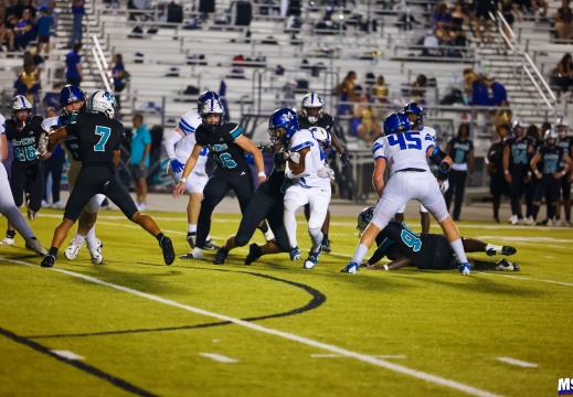 MHSvsCMfb-4950 (62 visits) MHSvsCMfb-4950